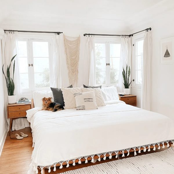 Pintura Para Interiores Incamax Blanco 20 Litros - Imagen 2