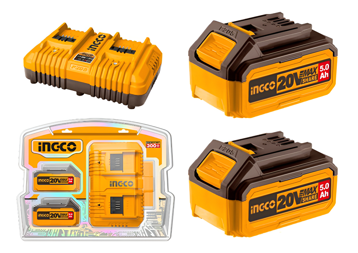 Set X 2 Baterias 20v 5amp + 1 Cargador Ingco Fbcpk2425