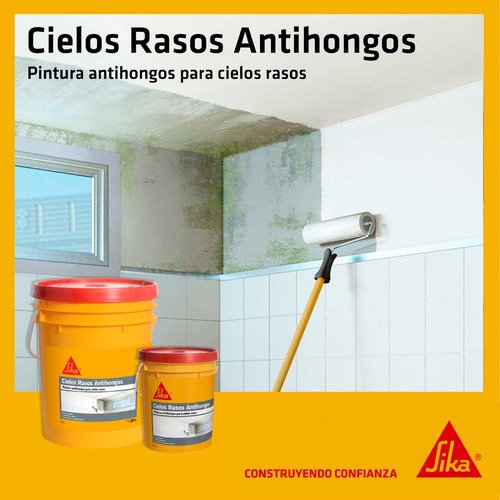 Pintura Cielos Rasos Antihongos Sika Blanco 20 Litros - Imagen 3
